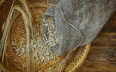 kulakları ve tohum yulaf