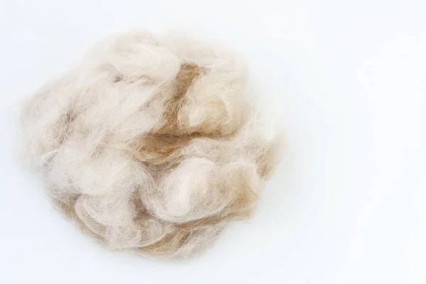 Hairball Fur Ginger Cat White Background Closeup Top View — Stock Photo, Image
