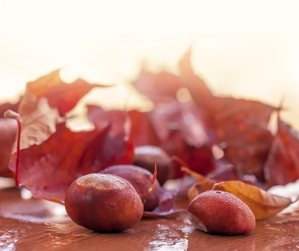 Herfst achtergrond — Stockfoto