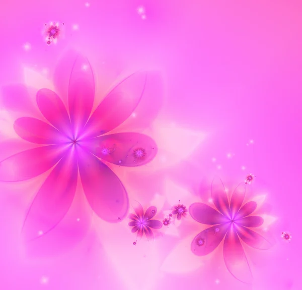 Pink  background — Stock Photo, Image
