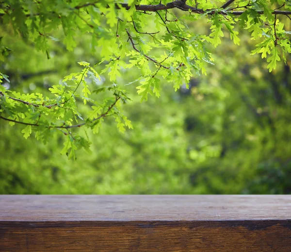 Natural background with oak branch — Stock Photo, Image