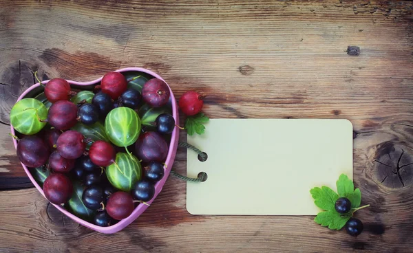 Sommer Hintergrund mit Stachelbeere und schwarzer Johannisbeere — Stockfoto