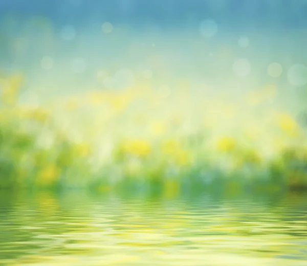Beautiful natural background blur — Stock Photo, Image