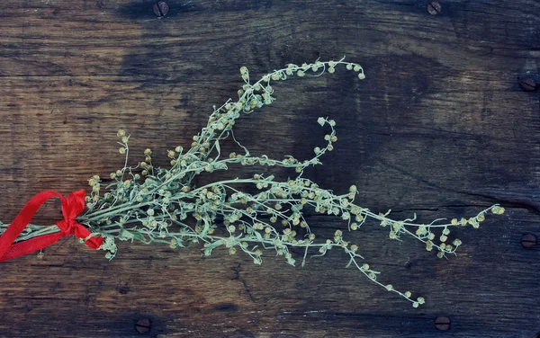 Kurutulmuş pelin demet — Stok fotoğraf