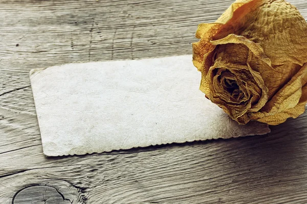 Dry yellow rose and blank note — Stock Photo, Image