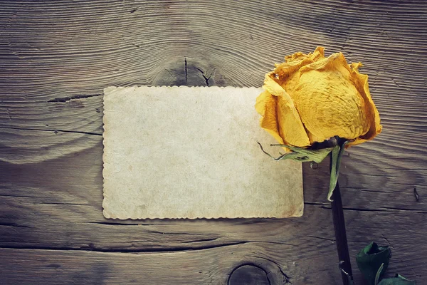 Dry yellow rose and blank note — Stock Photo, Image