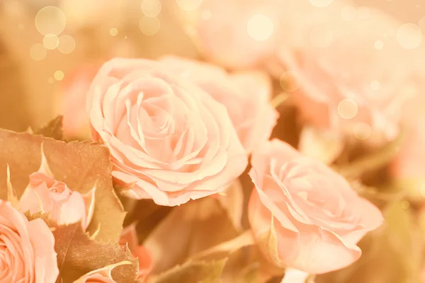 Feiertagsstrauß aus orangen Rosen — Stockfoto