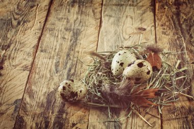 Üç Bıldırcın yumurta 