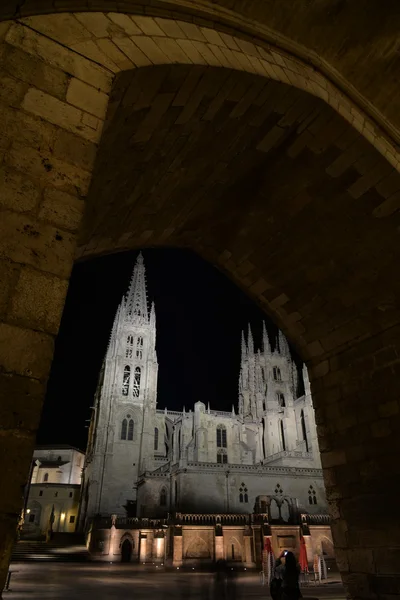 Burgos cathedral at night — Stock Photo, Image