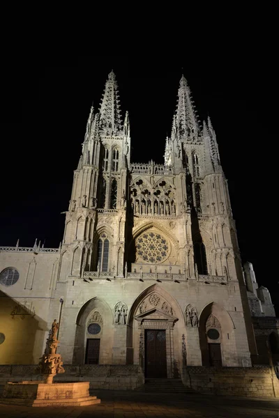 Burgos cathedral at night — Stock Photo, Image