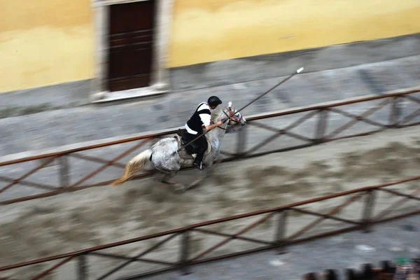 Jousting caballero — Foto de Stock