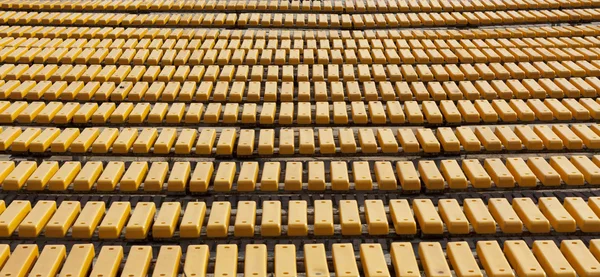 Fila de assentos de madeira amarelos — Fotografia de Stock