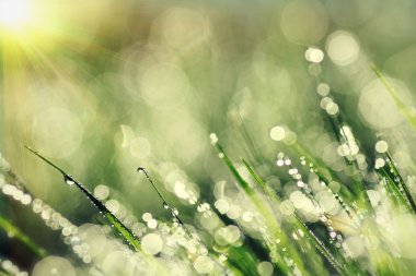 Arka plan bokeh ile parlayan soyut