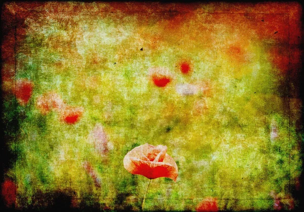 Grunge background with poppy flowers — Stock Photo, Image