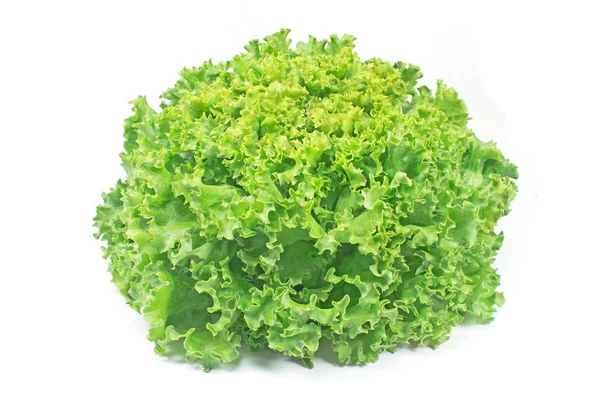 Lechuga fresca aislada en blanco —  Fotos de Stock