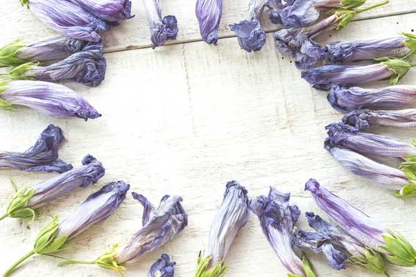 Frame gemaakt van verwelkt hibiscus bloem bloemblaadjes op wit bord — Stockfoto