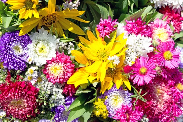 Kleurrijke bloemen achtergrond — Stockfoto