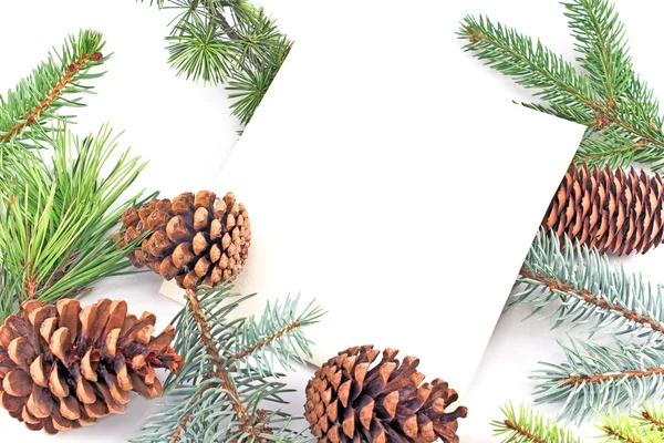 Pine cones and needles on white background — Stock Photo, Image