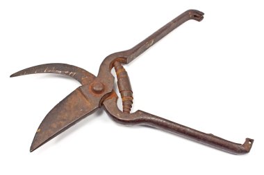 Beyaz izole eski Bahçe budama makası