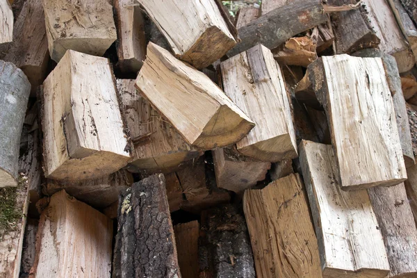 Split logs cut down for firewood — Stock Photo, Image