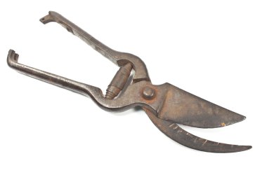 Beyaz izole eski paslı Bahçe budama makası