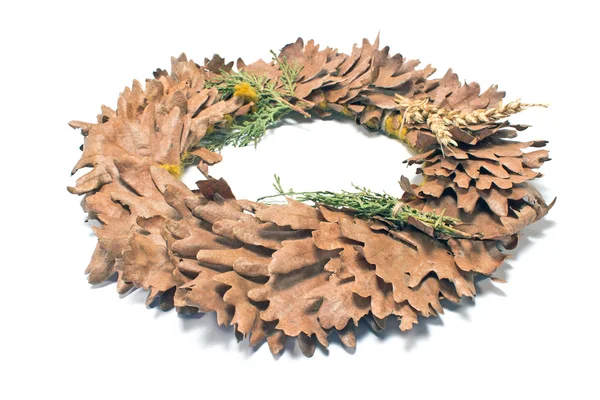 Wreath of oak leaves isolated on white — Stock Photo, Image