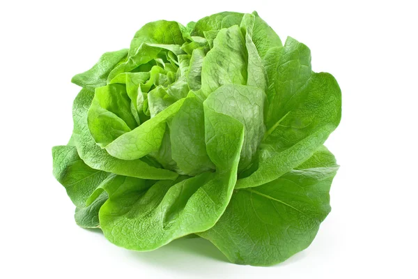 Fresh lettuce isolated on white — Stock Photo, Image