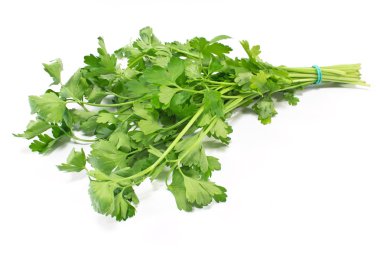 Maydanoz beyazda izole 