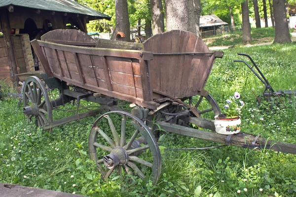 Oude paard getrokken wagen coach op grasveld — Stockfoto