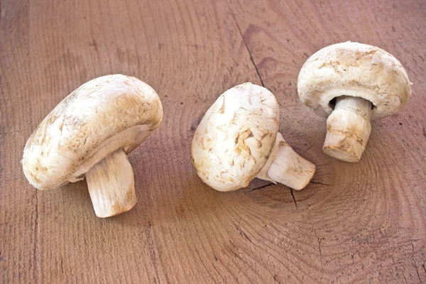 Mushrooms on a wooden table — Stock Photo, Image