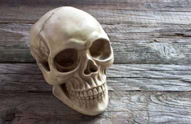 Ahşap arka plan üzerinde insan kafatası