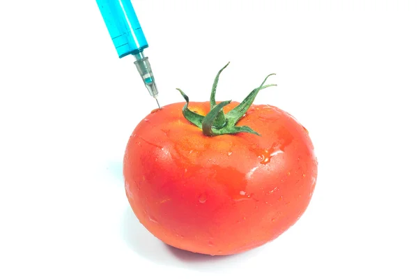 Injection for a genetically modified tomato isolated — Stock Photo, Image