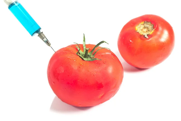 Genetically modified tomato and organic tomato isolated on whi — Stock Photo, Image