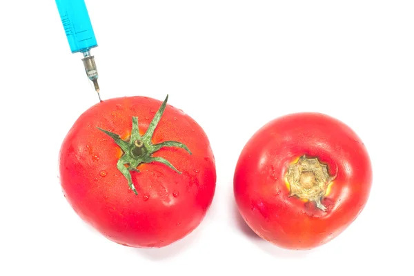 Genetically modified tomato and organic tomato isolated on whi — Stock Photo, Image