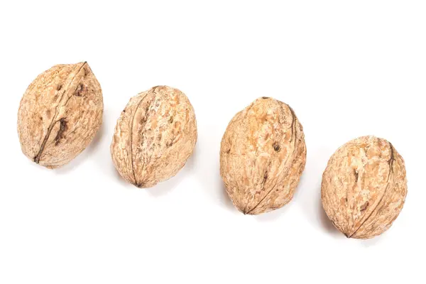 Nueces aisladas en blanco —  Fotos de Stock