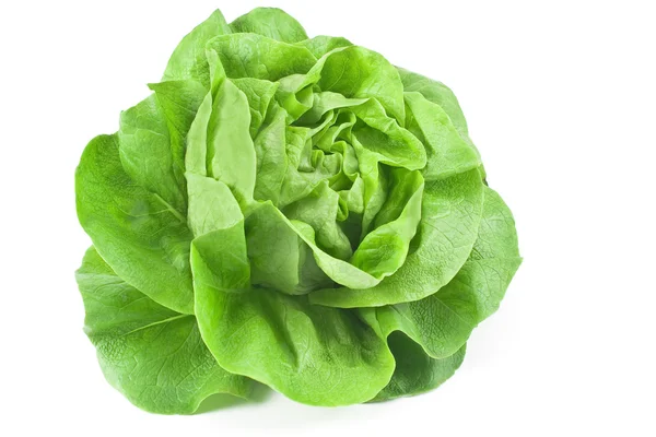 Fresh lettuce isolated on white — Stock Photo, Image