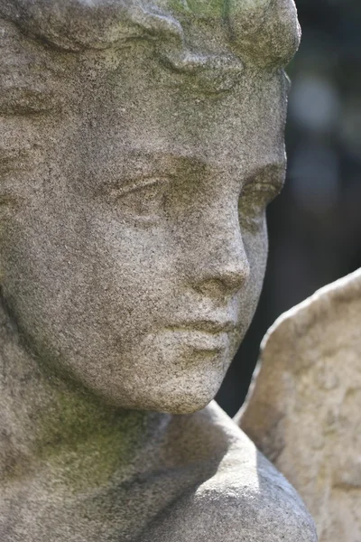 Tombe à Paris — Photo