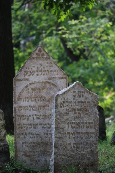 Vecchio cimitero ebraico — Foto Stock