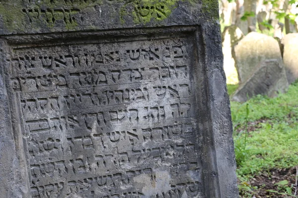 Old jewish cemetery — Stock Photo, Image
