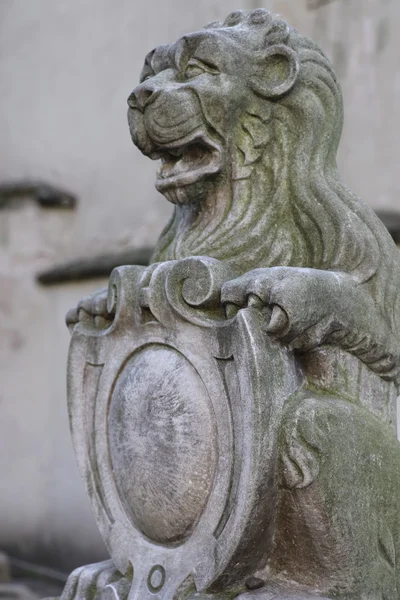 Old jewish cemetery — Stock Photo, Image