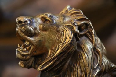 Vatican Museums detay 