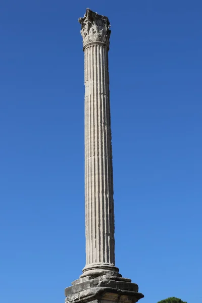 The column of Phocas — Stock Photo, Image