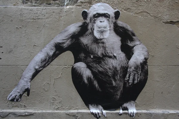 Małpa graffiti — Zdjęcie stockowe