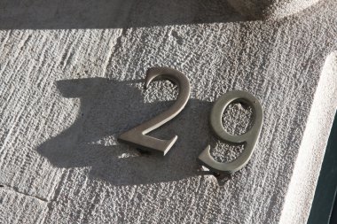 sayı 29