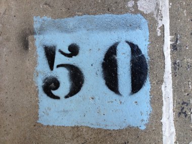 Sayı 50