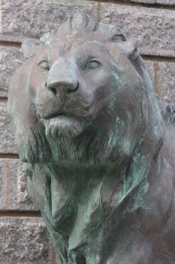 Bonifacio aslan