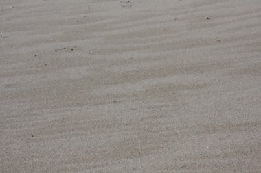 Corsica'deki / daki kum