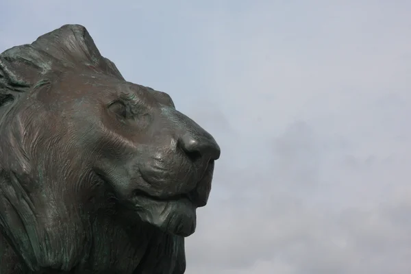Lion of Bonifacio — Stock Photo, Image