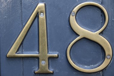 sayı 48