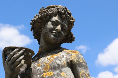 Albi